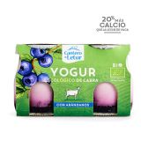 YOGUR CABRA ARANDANOS 2 UNDS