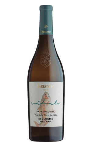 VINO BARBADILLO 75CL