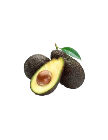AGUACATE HASS KG COIN