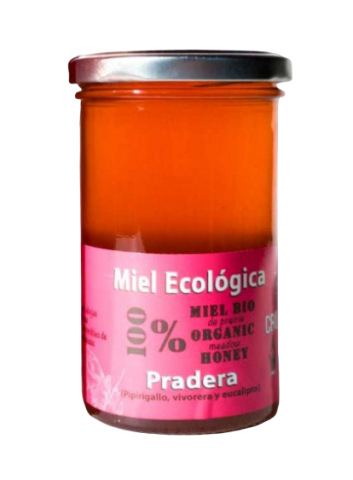 MIEL CRUDA PRADERA 1 KG